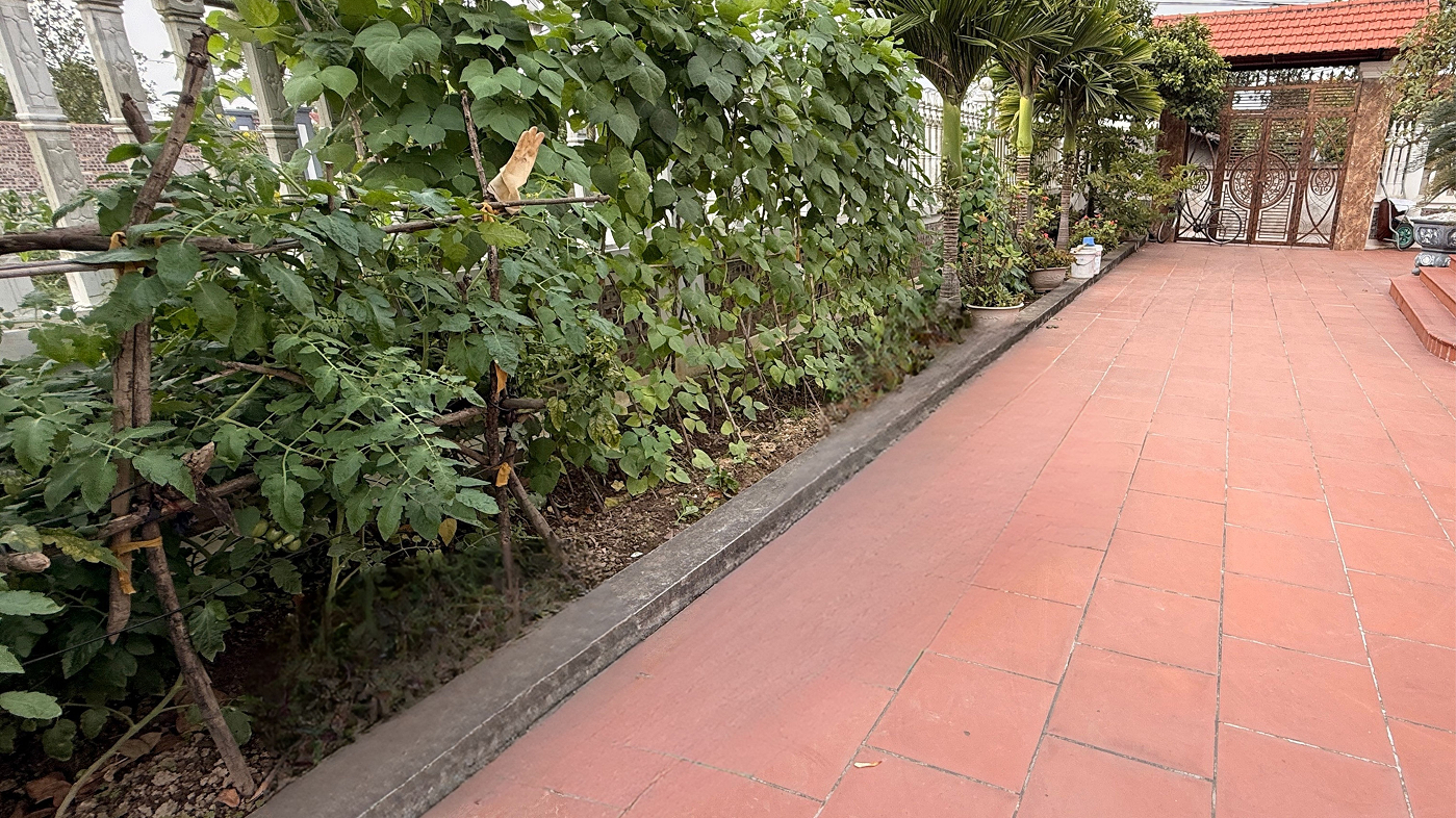 Biệt thự – Sân vườn