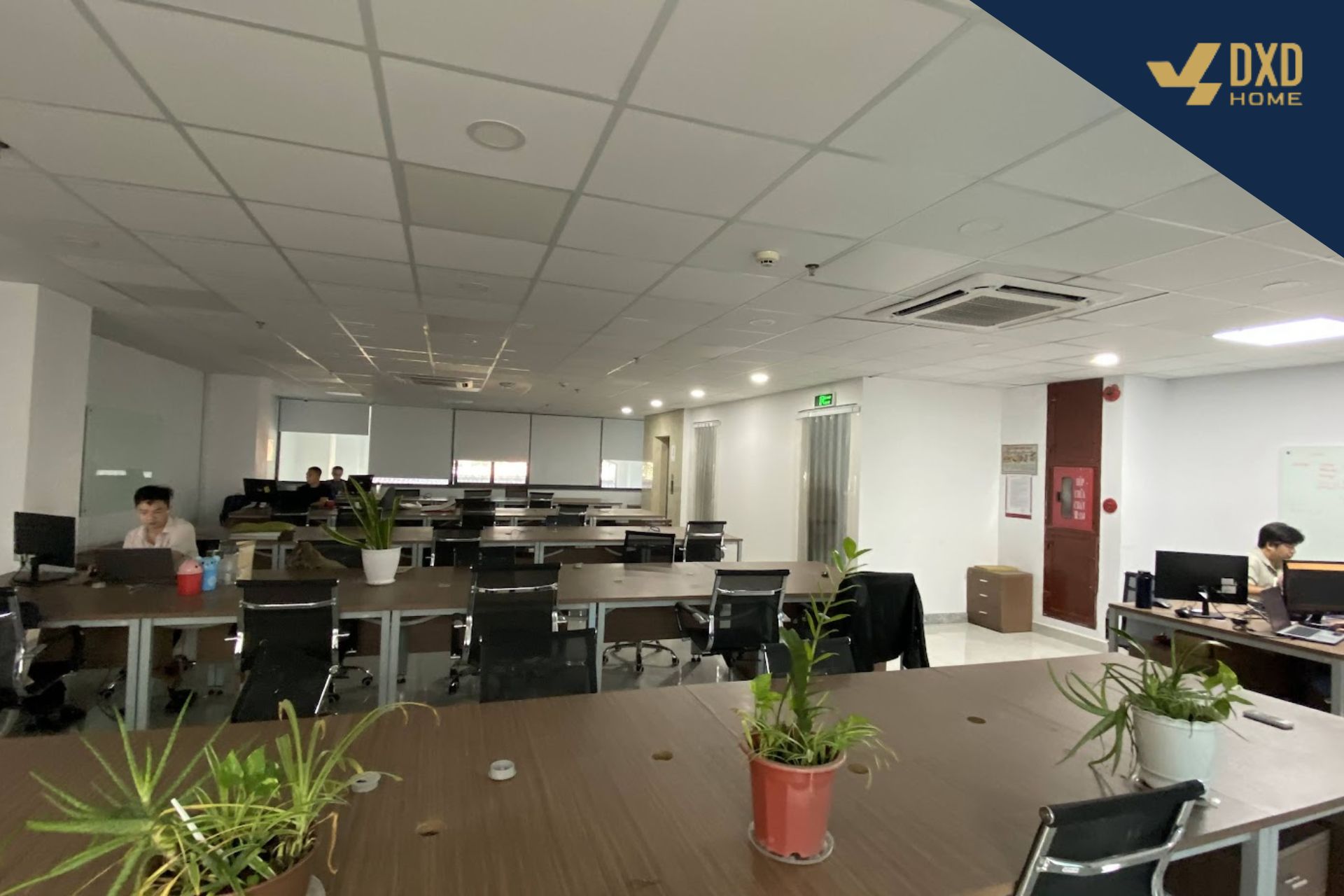 Thiết kế văn phòng hiện đại – Giải pháp giúp không gian làm việc chuyên nghiệp, tối ưu công năng và ngân sách
