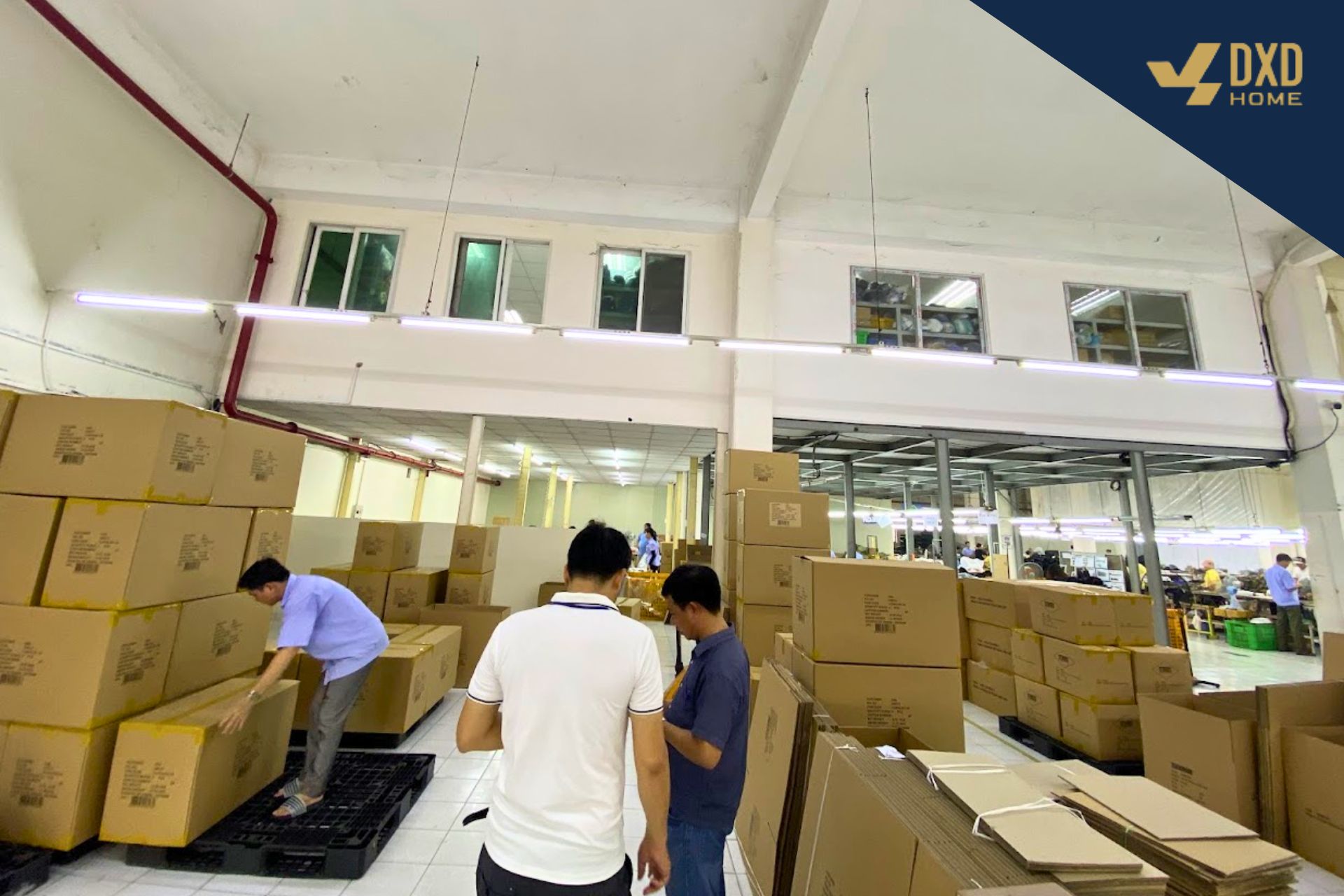 Thi công cải tạo văn phòng đang hoạt động – Giải pháp nâng cấp không gian làm việc, hạn chế gián đoạn doanh nghiệp 3